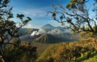 Bromo Ijen Tumpak Sewu Sharing Tour from Malang