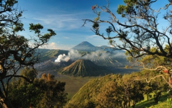 Bromo Ijen Tumpak Sewu Sharing Tour from Malang