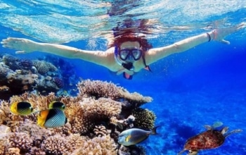 Menjangan Island Diving