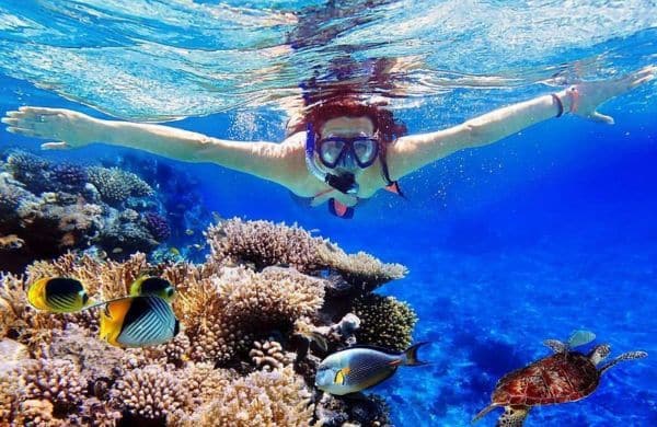 snorkeling 01 Menjangan Island Diving