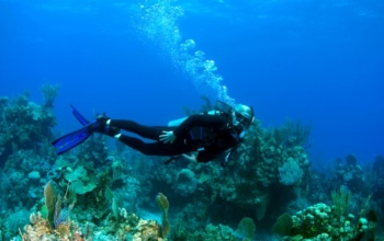 Tur Berbagi 3D2N Banyuwangi