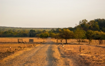 Parc national Baluran et forêt Djawatan