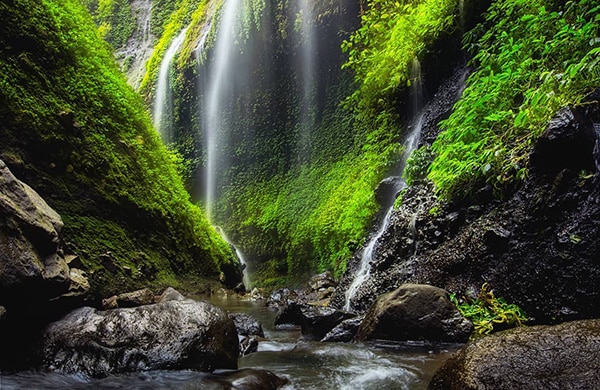 Madakaripura Waterfall